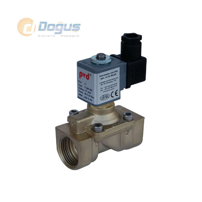 G 1 1/2'' Pilot Kontrollü Diyaframlı Solenoid Valf (T - GM 106)