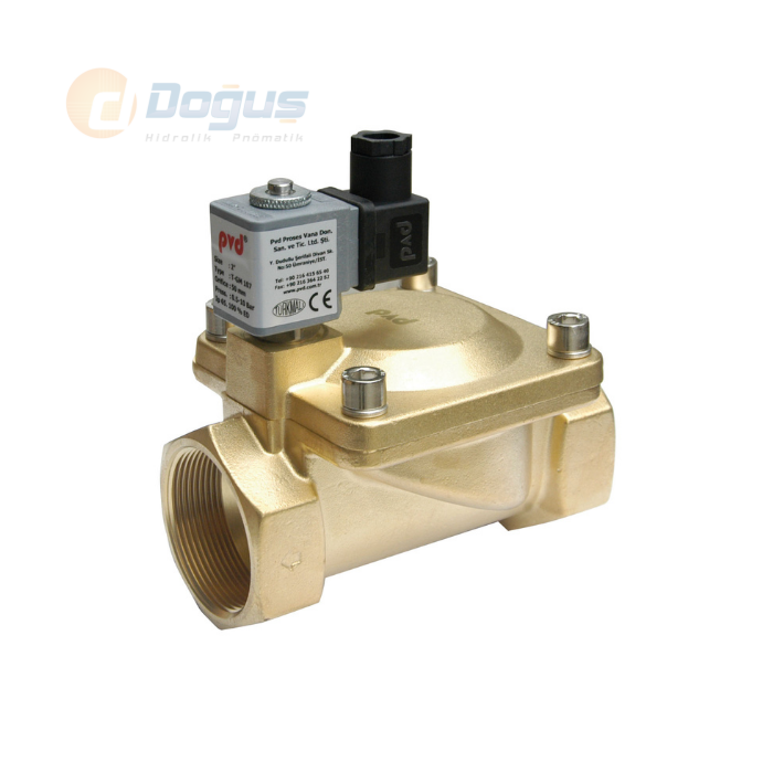 G 2'' Pilot Kontrollü Diyaframlı Solenoid Valf (T - GM 107)
