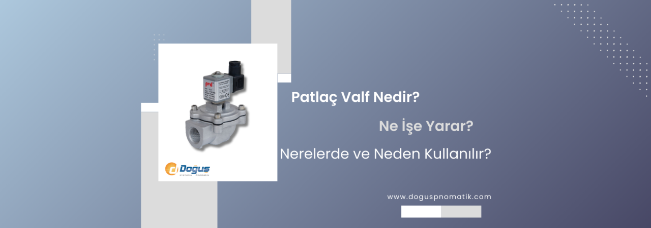 Patlaç Valfler ve Uygulama Alanları