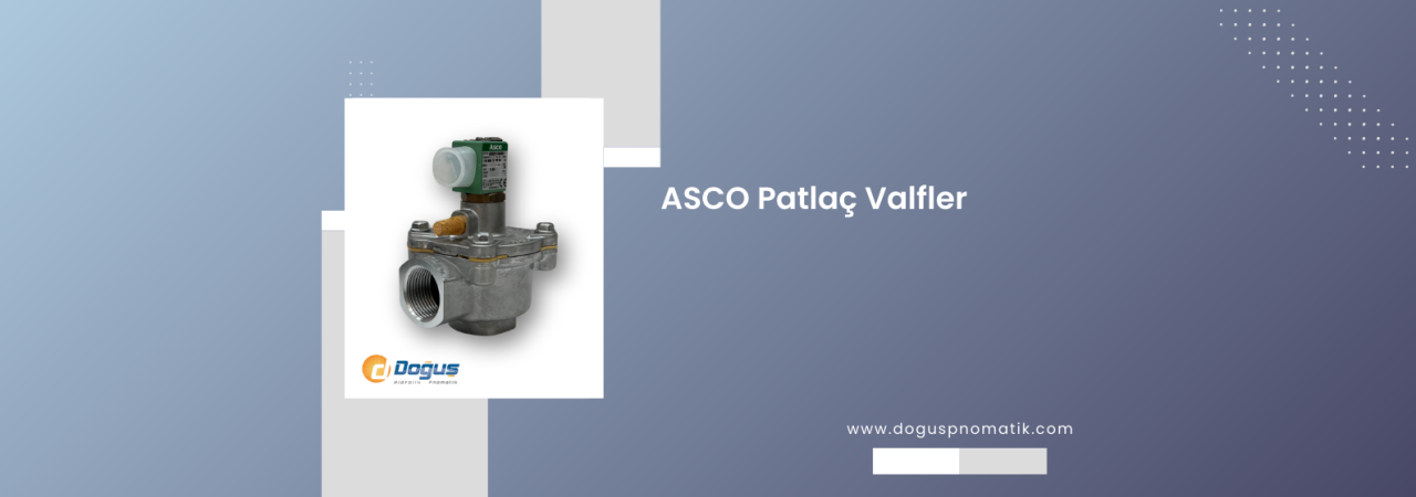 Asco Patlaç Valfler