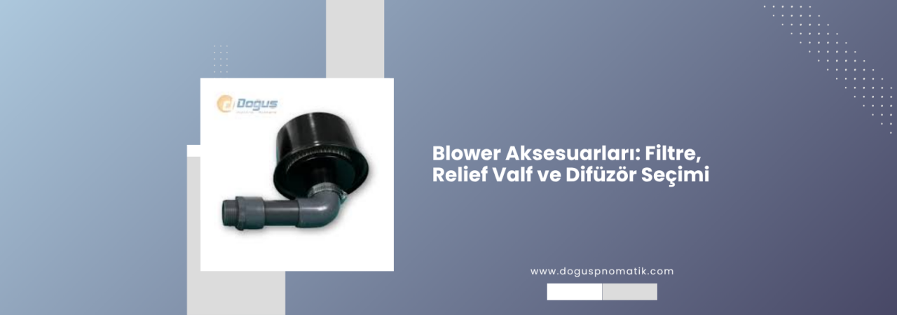 Blower Aksesuarları Nelerdir? Emiş Filtresi, Relief Valf, Susturucu ve Difüzör Nasıl Seçilir?