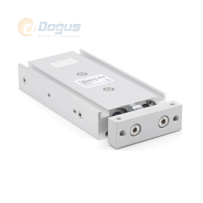 PDP Ø6 Serisi İkiz Pistonlu Manyetik Silindir