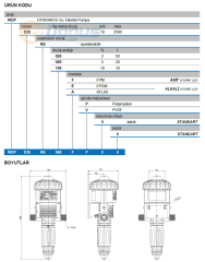 HYDRAKOS WDPD25RE020FV00 Dozaj Pompası