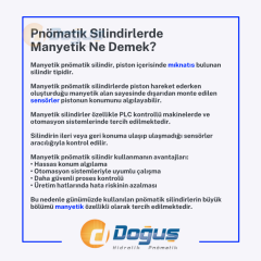 ISO-M Ø100 Serisi Çift Etkili Yastıklamalı Manyetik Pnömatik Silindir