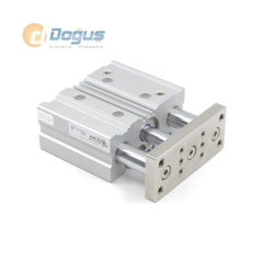 PGB Ø20 Serisi İkiz Yataklı Manyetik Silindir