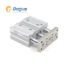 PGB Ø40 Serisi İkiz Yataklı Manyetik Silindir