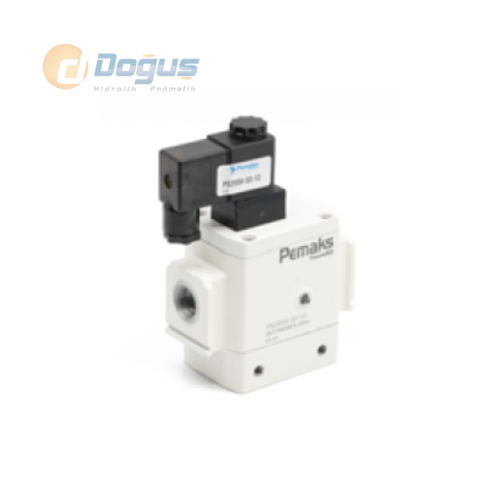 PS2SSV Serisi 1/2'' Elektrikli Soft Start